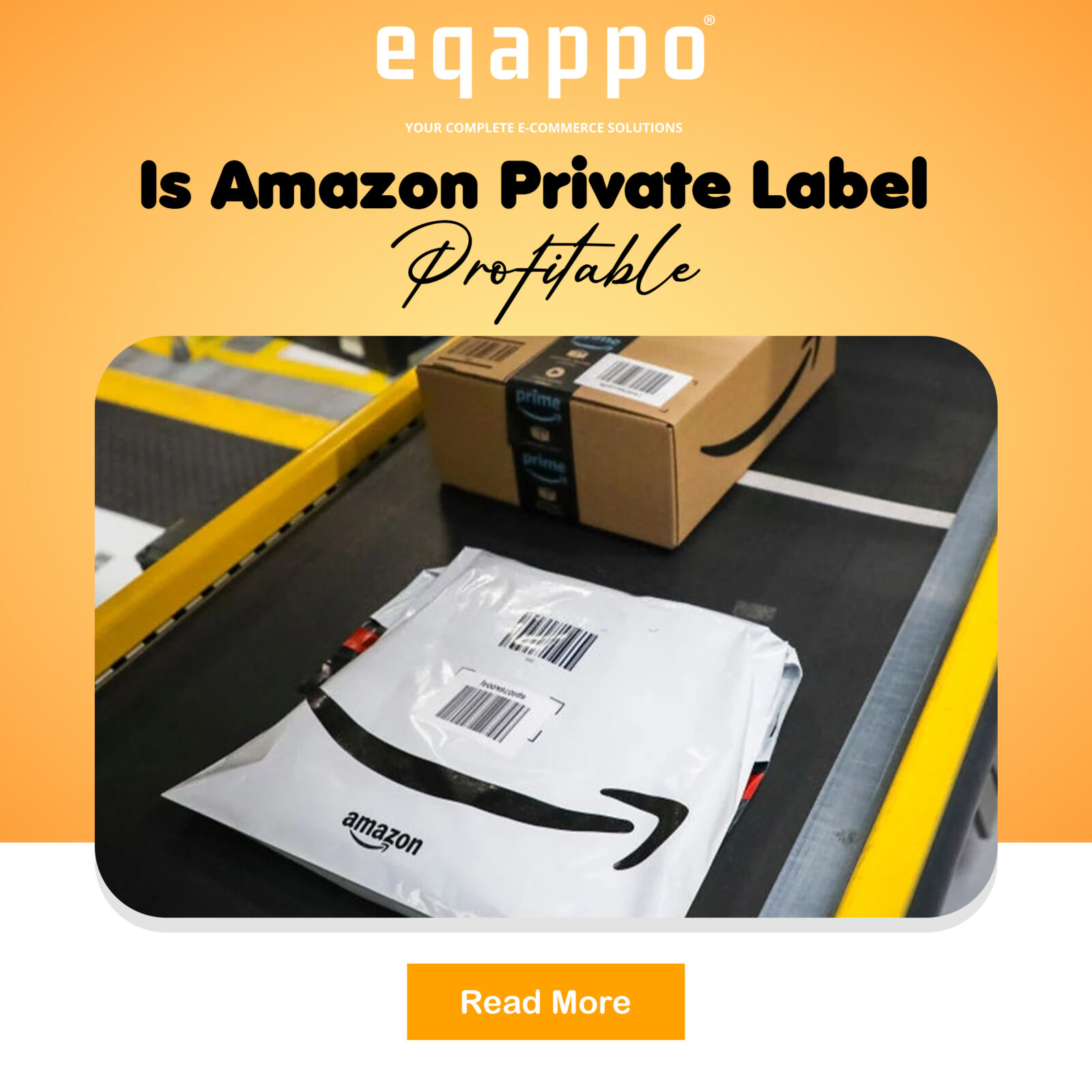 Is Amazon Private Label Profitable?